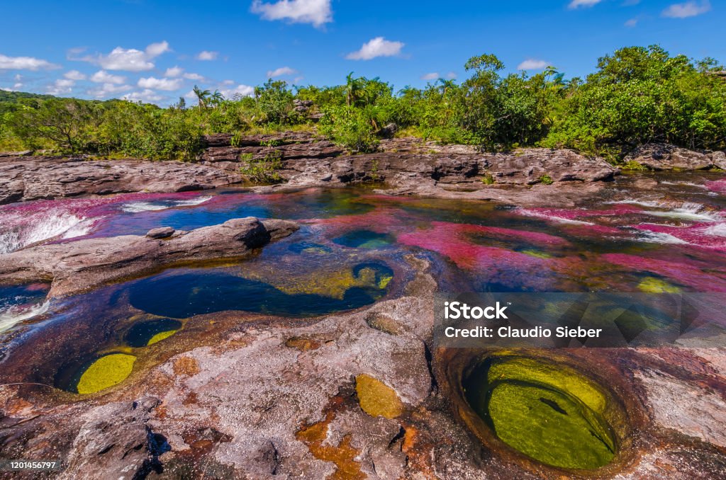 Colombia - Cano Cristales - National Park Serrania de la Macarena Titled as Colombia's unique biological wonder, Caño Cristales goes by many identities such as “river of five colors,” “the river that ran away from paradise,” and “the most beautiful river in the world.” Only during the short span between the wet and dry seasons, when the water level is just right, a unique species of plant that lines the river floor called "Macarenia clavigera" turns into a brilliant red During the wet season, the water flows too fast and deep, denying the Macarenia clavigera the sun that it needs to turn red. For a few weeks from September to November, the river transforms into a flowing rainbow. Caño Cristales, is part of National Park Serrania de la Macarena and accessible from the nearby town of La Macarena. Caño Cristales River Stock Photo