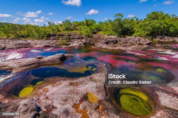 Colombia Cano Cristales National Park Serrania De La Macarena Stock Photo - Download Image Now