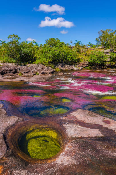 colômbia - cano cristales - parque nacional serrania de la macarena - waterfall multi colored landscape beauty in nature - fotografias e filmes do acervo