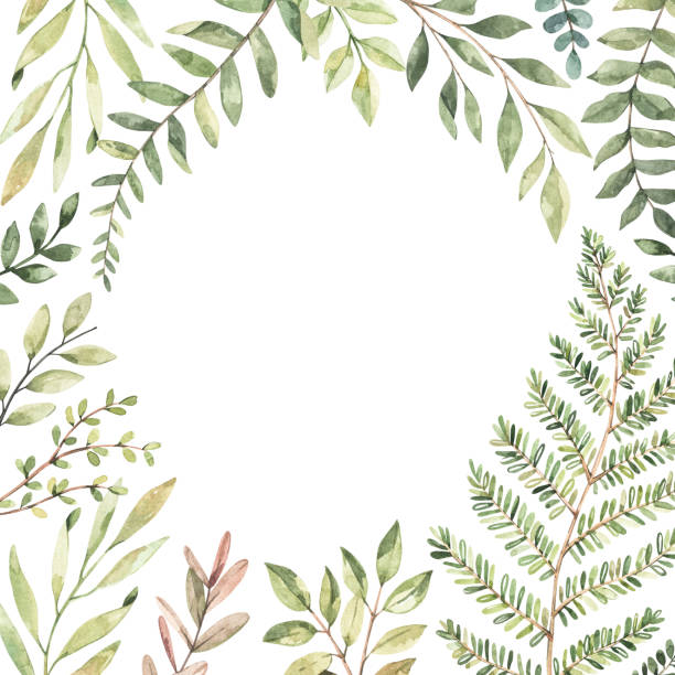 istock Hand drawn watercolor illustration. Botanical frame with eucalyptus, branches, fern and leaves. Greenery. Floral Design elements. Perfect for wedding invitations, cards, prints, posters, packing 1201458028