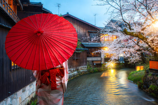 京都の夜、祇園区白川の有名な行き先桜で赤い傘の観光をした日本の伝統的な着物を着たアジアの若い女性旅行者。日本では4月の春。 - 祇園 ストックフォトと画像
