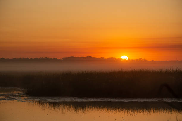 istock Moorland at morning sunrise 1201459148