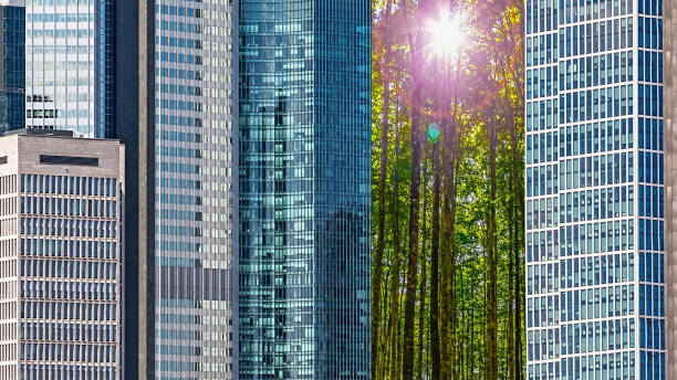 Green City Concept stock photo
