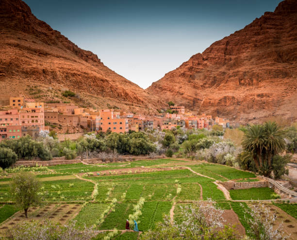 Green oasis and the Atlas mountains, Tinghir, Morocco stock photo