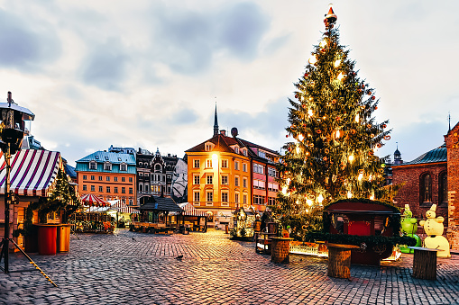 Christmas tree Dome square in evening Riga in Latvia