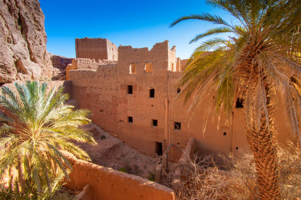 istock Mud brick houses and palm trees Tinghir, Morocco 1201467259