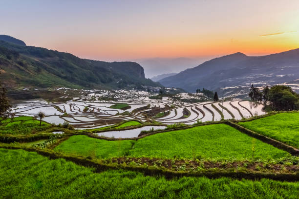istock China (Yunnan) - Yuanyang - Unesco World Heritage Site 1201467586