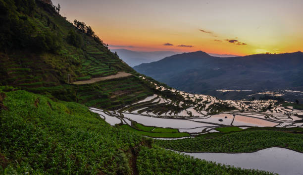 istock China (Yunnan) - Yuanyang - Unesco World Heritage Site 1201467801