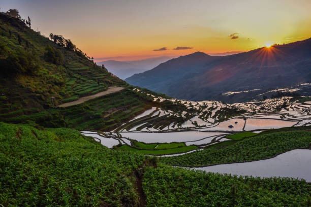 istock China (Yunnan) - Yuanyang - Unesco World Heritage Site 1201467809