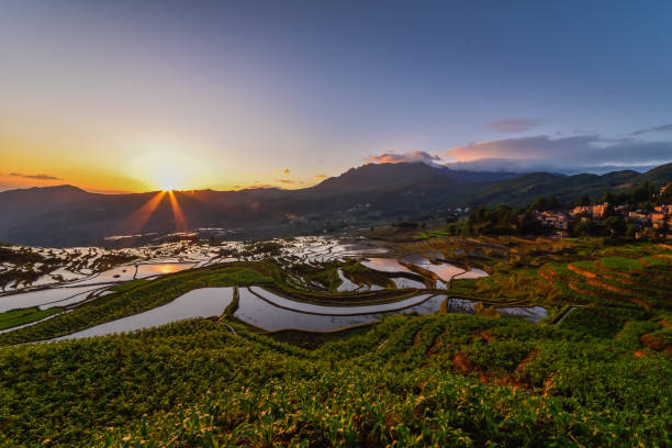 istock China (Yunnan) - Yuanyang - Unesco World Heritage Site 1201467812