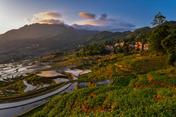 istock China (Yunnan) - Yuanyang - Unesco World Heritage Site 1201468500