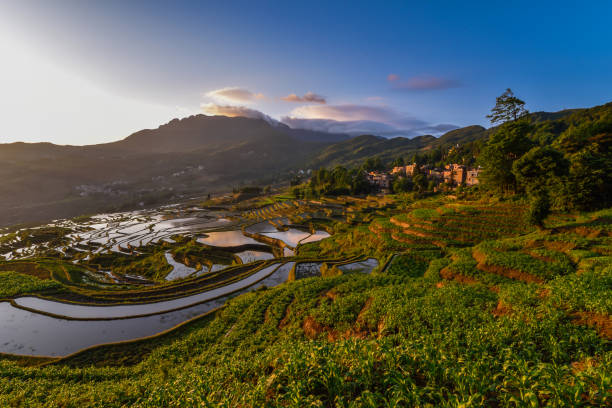 China (Yunnan) - Yuanyang - Unesco World Heritage Site