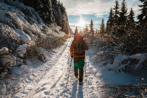 A man walks on a snowy road through the forest