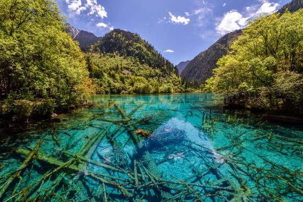 istock China (Sichuan) - Jiuzhaigou National Park 1201473198