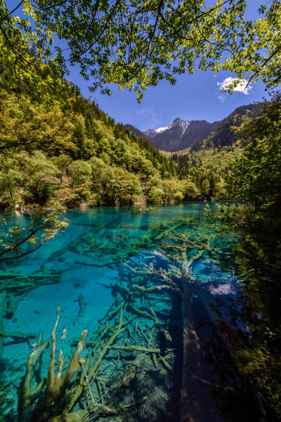 istock China (Sichuan) - Jiuzhaigou National Park 1201473205