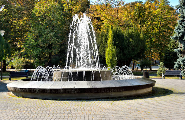 istock fountain in vrnjacka banja spa 1201473221