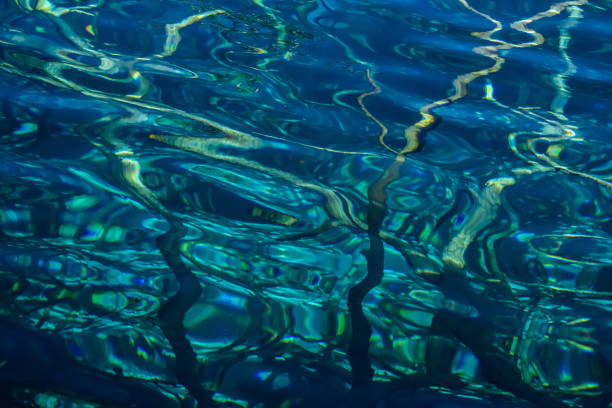istock China (Sichuan) - Jiuzhaigou National Park 1201473278