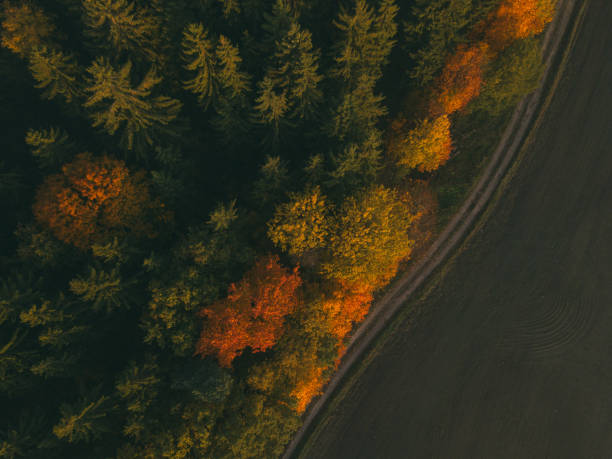istock Aerial view over the agricultural fields.Autumn landscape. 1201473441
