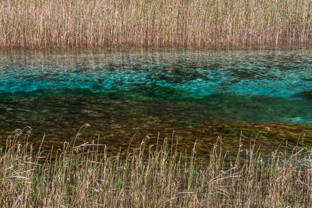 Jiuzhaigou National Park, aka Jiuzhai Valley National Park or Jiuzhaigou Valley, is located in Jiuzhaigou County, 450 kilometers north of Chengdu (the capital of Sichuan province).Jiuzhaigou National Park offers a dreamlike scenery, which combines translucient lakes, waterfalls, verdant forests, snow-covered mountains, and the folk customs of the Tibetan and Qiang peoples. According to old tales the deity of mountain named Dago had a crush on the goddess Semo, and he gave a mirror that was made from wind and cloud to the goddess. However, the devil appeared and made trouble to Semo. Inadvertently, Semo broke the mirror into 108 pieces, which fell down to the earth and then turned to 108 colorful lakes. The lake is also called Haizi by local people.