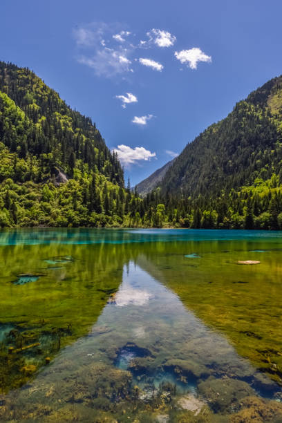 istock China (Sichuan) - Jiuzhaigou National Park 1201473520
