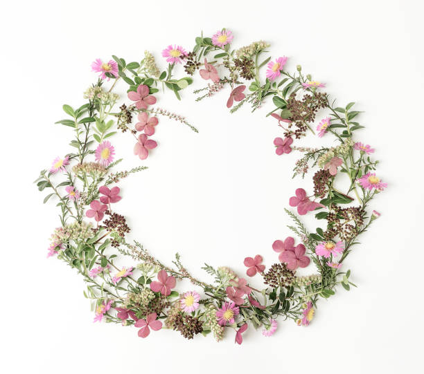 istock Wreath frame with pink flowers, heath, branches and leaves on white background. Flat lay style. Overhead view. Copy space. 1201473581