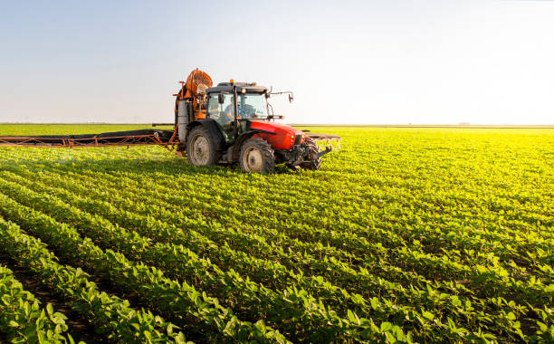 istock Tractor spraying pesticides on soy field  with sprayer at spring 1201479936