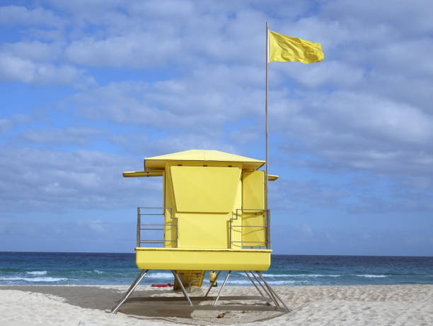 istock The white sandy beaches of La Oliva 1201485477