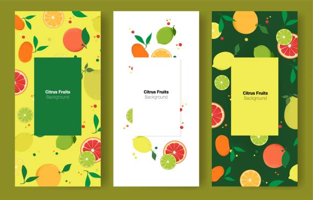 illustrations, cliparts, dessins animés et icônes de conception de couverture de brochure d'agrumes de fruits. - healthy eating backgrounds freshness luxury