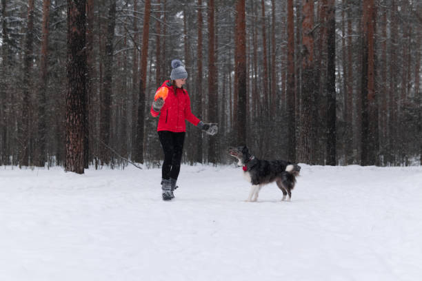 istock woman playing with a dog in a winter forest during a snowfall 1201491546