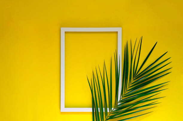 istock Tropical background in orange with a palm branch. 1201494600