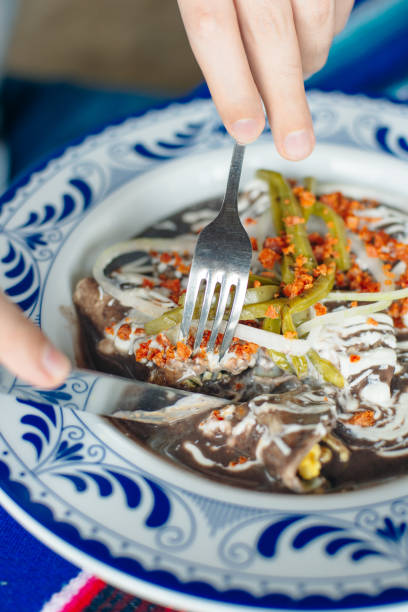 Mole Mexicano, Poblano mole ingredients, mexican spicy food traditional in Mexico