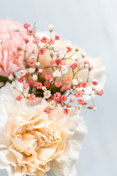istock Still life of flowers on white background 1201494687