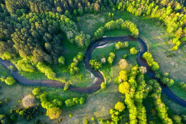 istock Beautiful scenery of winding river, aerial view 1201496017