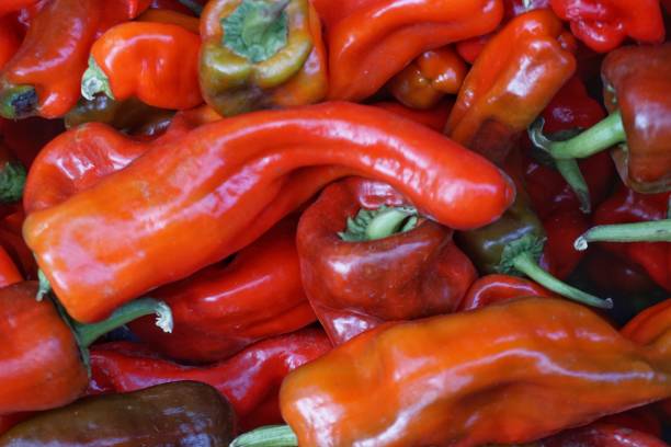 istock Red and organic hot pepper. 1201496364