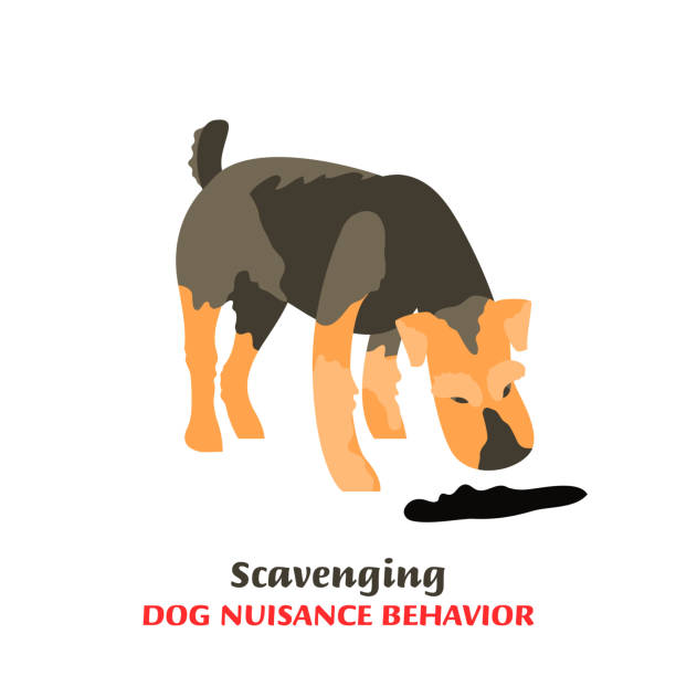 illustrazioni stock, clip art, cartoni animati e icone di tendenza di icona problemi comportamento cane - cane morde coda