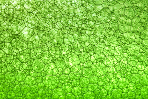 istock Macro close up of soap bubbles,Foam Bubble from Soap or Shampoo Washing 1201505186