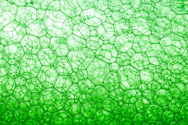 istock Macro close up of soap bubbles,Foam Bubble from Soap or Shampoo Washing 1201505212