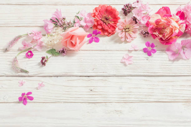 istock pink flowers on white wooden background 1201505371
