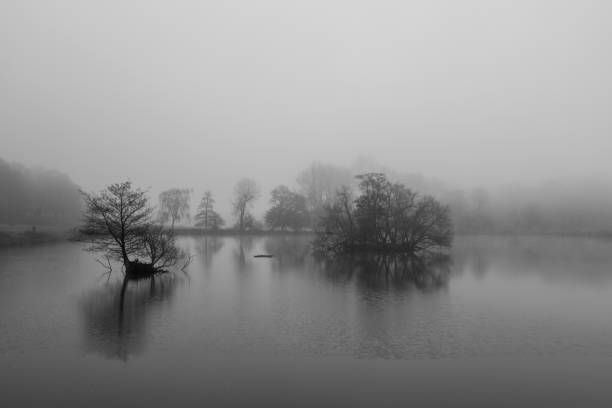istock lake in the fog 1201517555