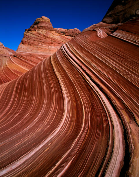 The Wave, Arizona At The  Wave at the Paria Wilderness in Northern Arizona. Velvia 6x7 shot. sedona photos stock pictures, royalty-free photos & images