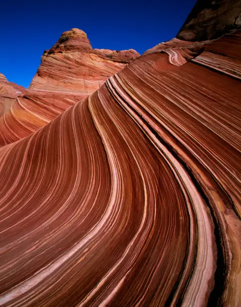 At The  Wave at the Paria Wilderness in Northern Arizona. Velvia 6x7 shot.