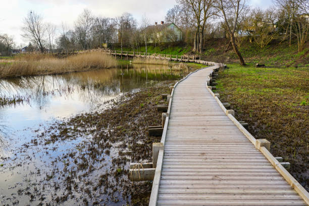 istock new wooden footpath for walk in nature park 1201522537