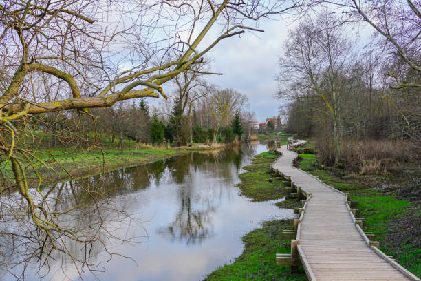 istock new curved wooden footpath for walk in nature park 1201522576