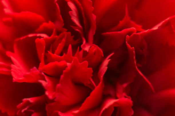 Nature photography.