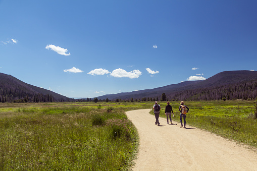 Friends hiking through a meadow in Rocky Mountain National Park, forested mountains in distance