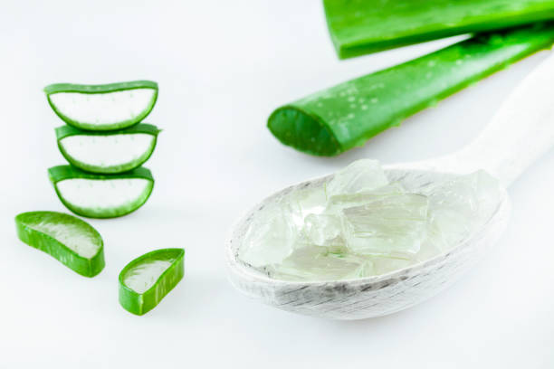 istock aloe vera  skin care 1201525713