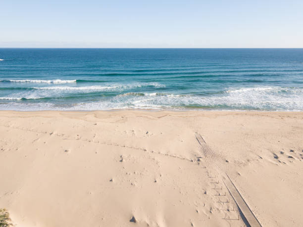 istock Wooden pathway leading to the beach 1201526115