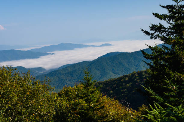 istock Foggy Morning in the Mountain Valleys 1201527509