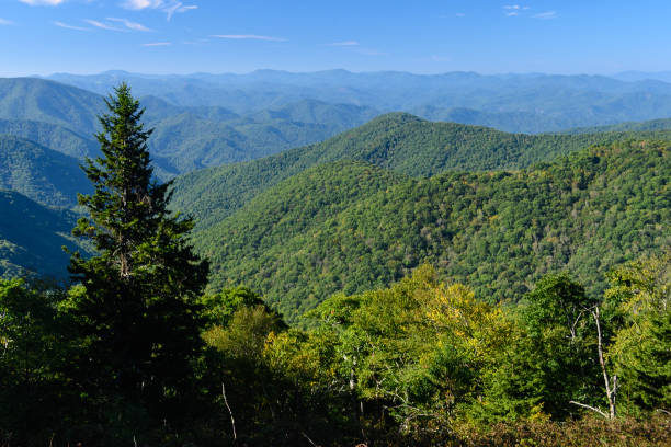 appalachian mountain view entlang des blue ridge parkway - mountain mountain range north carolina blue stock-fotos und bilder