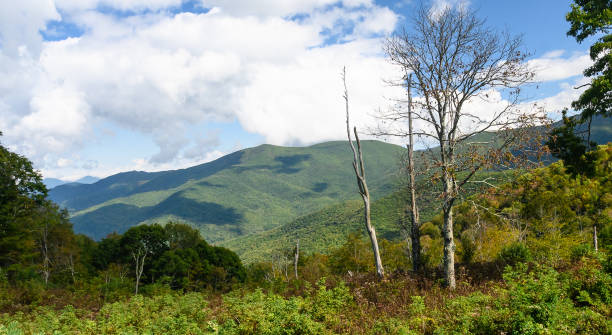 autunno nelle montagne appalachi viste lungo la blue ridge parkway - blue ridge mountains autumn great smoky mountains tree foto e immagini stock